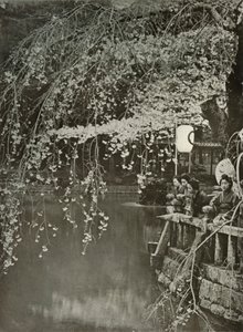 日本の桜の時間、1910年。 作： Herbert Ponting