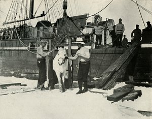 ポニーの下船、c19101913、1913 作： Herbert Ponting
