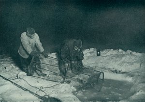 アトキンソン博士とクリソルドは1911年5月28日、1913年5月28日 作： Herbert Ponting