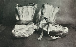 Finnesko、c19101913、1913。 作： Herbert Ponting