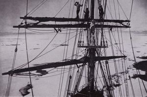 "For 20 days the pack held them" (b/w photo) 作： Herbert Ponting