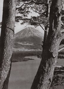 富士山と松の木（白黒写真 作： Herbert Ponting