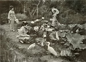ロータスランド、1910年。