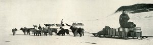 ハア・ポイントを離れた犬のチームとのミアーズとディメトリ、c1911、1913 作： Herbert Ponting