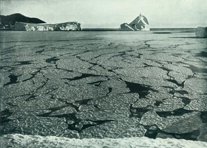 エヴァンス岬沖の流氷にパンケーキの氷が形成、c19101913、1913。 作： Herbert Ponting