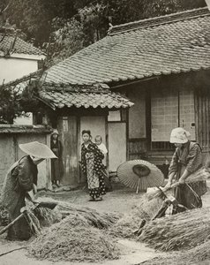大麦を率いる農民の女性、1910年。 作： Herbert Ponting