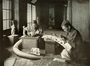 アイボリーカーバーズ、1910年。