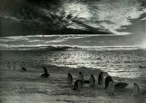 マクマードサウンドの真夜中の太陽、c19101913、1913