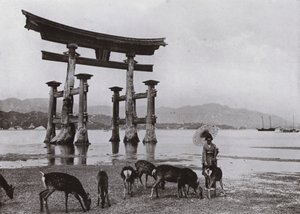 宮島の旧鳥居（モノクロ写真 作： Herbert Ponting