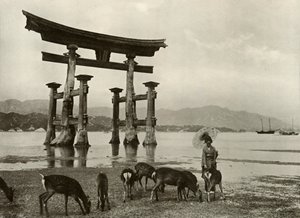 宮島の古い鳥居、1910年。 作： Herbert Ponting