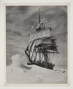 The Terra Nova Icebound（臭化物プリント） 作： Herbert Ponting