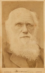 チャールズ・ダーウィンの肖像 1809-1882年 1881年