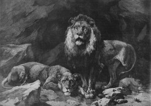 Roused！、c1910、1911 作： Herbert Thomas Dicksee