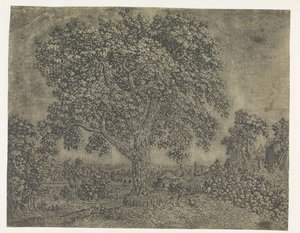 大きな木 作： Hercules Segers