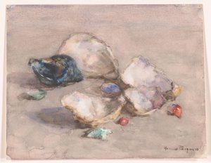 浜辺の貝殻 作： Herman Bogman (signed by artist)