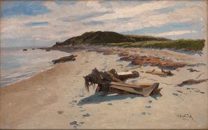 ケープコッド、ビーチ、1894 年。