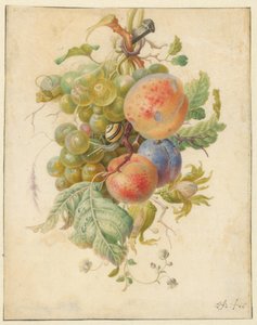 果物の花綱 作： Herman Henstenburgh