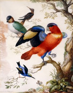 森の中の4羽の鳥、
