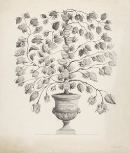 オレンジ・ナッソー家の家系図 作： Hermanus Johannes Abbring