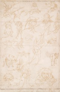 グロテスクな研究、c1500-1520 作： Hieronymus Bosch