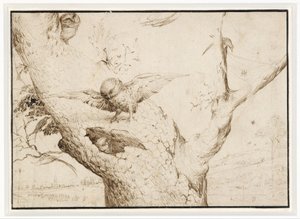 フクロウの巣 作： Hieronymus Bosch