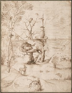 木の男 1505年頃 （紙に褐色インク） 作： Hieronymus Bosch