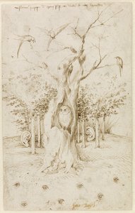 木には耳があり、野には目がある par Bosch, Hieronymus (c. 1450-1516).紙にペン、茶色の墨、サイズ：20,2x12,7、1500年～1515年頃、ベルリン国立博物館蔵 作： Hieronymus Bosch