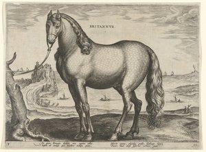 ブルターニュの馬 (Brittanus) Britannvs (オブジェクトのタイトル) オーストリアのドン ファンの王室厩舎の馬の品種 (シリーズ タイトル) Equile Ioannis Austriaci Caroli (シリーズタイトル) 作： Hieronymus Wierix