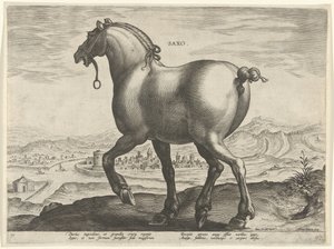 ザクセンの馬 サクソ (オブジェクトのタイトル) オーストリアのドン ファンの王室厩舎の馬の品種 (シリーズ タイトル) Equile Ioannis Austriaci Caroli (シリーズタイトル) 作： Hieronymus Wierix