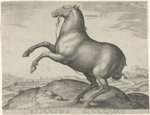 スキタイの馬 シンバー (オブジェクトのタイトル) オーストリアのドン ファンの王室厩舎の馬の品種 (シリーズ タイトル) Equile Ioannis Austriaci Caroli (シリーズタイトル)