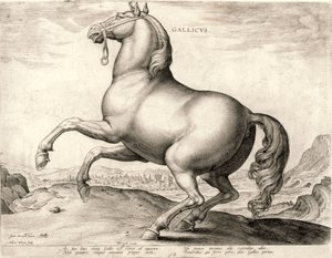 オーストリアのドンファンの厩舎からの馬シリーズのガリカス（彫り込み彫刻）