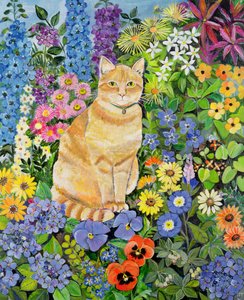 ゴードンズ・キャット、1996 作： Hilary Jones