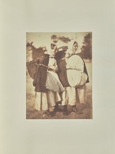 [ニューヘイブン・フィッシュワイブス］ 作： Hill and Adamson