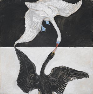グループ IX/SUW、1 位、白鳥、1 位