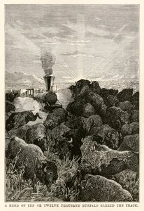 ルイスプレヴォストによって刻まれた、ジュールヴェルヌ（1828〜1905）による「80日間の世界一周」から、1頭または1万2000頭の水牛の群れがトラックを禁止しました。1873年 作： Hippolyte Leon Benett