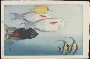 ホノルル水族館 作： Hiroshi Yoshida