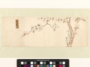満開の桜 作： Hiroshige (I) , Utagawa (attributed to)