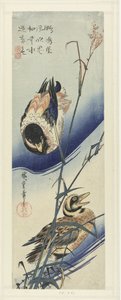 葦のそばのアヒル 作： Hiroshige (I) , Utagawa