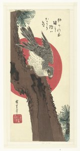 松の木の鷹 作： Hiroshige (I) , Utagawa