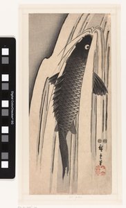 滝を泳ぐ鯉 作： Hiroshige (I) , Utagawa
