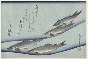 マス 作： Hiroshige (I) , Utagawa