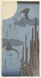 コウモリと月