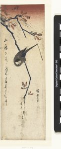 鳥と藤 作： Hiroshige (I) , Utagawa