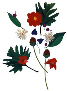 クリスマスを想像させる花です。 作： Hiroyuki Izutsu