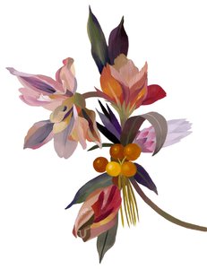 チューリップをモチーフにした架空の花。 作： Hiroyuki Izutsu