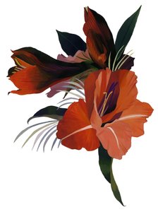 アマリリスをモチーフにした架空の花。 作： Hiroyuki Izutsu