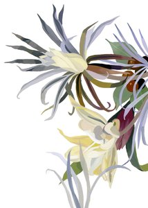ヒゲのようなエレガントな花。 作： Hiroyuki Izutsu