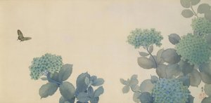 Hishida Shunso, Hortensien 作： Hishida shunso