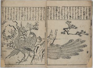 花鳥画集（花鳥図譜） 作： Hishikawa Moronobu