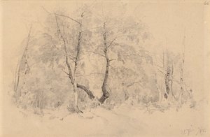 白樺の木立 作： ハルマル・ミュンスターヒェルム